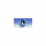 Chiba Manual Leek Cutter CNG03 From Japan New. Fixed Price $535.34.