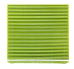 Hasegawa 10 X 6.5 Inch Plastic Green Makisu/sushi Rolling Mat. Fixed Price $35.58.