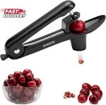 Cherry Pitter Ordekcity Stainless Steel Cherries Corer Tool With Hand-h. Fixed Price $14.47.