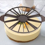 Cake Divider Slicer 1012 Piece Bread Portion Marker Baking Tool. Fixed Price $35.13.