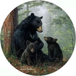 Bear Family Jar Opener Silicone Lid Gripper Garlic Peeler Tool. Fixed Price $19.95.